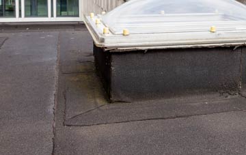 disadvantages of Grove Vale flat roofs