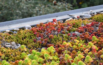 the cost of Grove Vale green roof installation