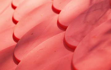 Grove Vale plastic roof costs